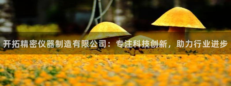 世欧星途娱乐：开拓精密仪器制造有限公司：专注科技创新，助力行