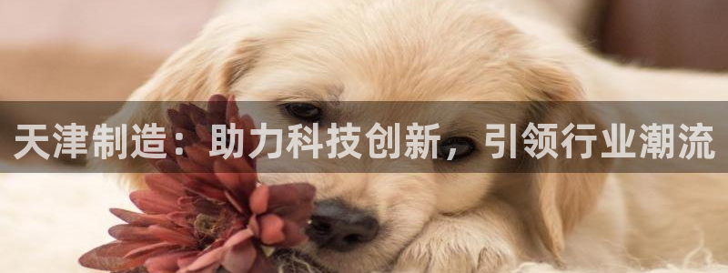 欧星娱乐网站：天津制造：助力科技创新，引领行业潮流