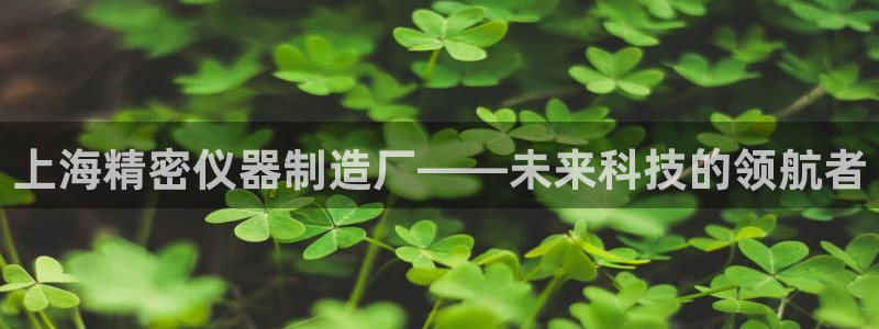 欧星娱乐网站多少：上海精密仪器制造厂——未来科技的领航者