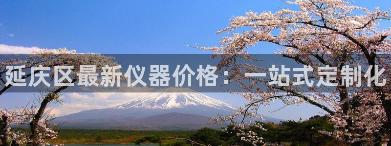 星欧娱乐现在叫什么：延庆区最新仪器价格：一站式定制化
