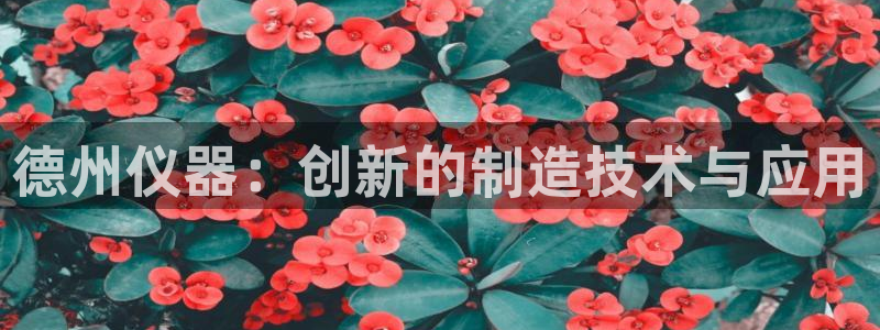 星欧娱乐注册官网入口：德州仪器：创新的制造技术与应用