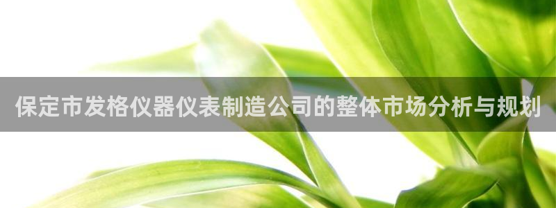欧星娱乐安全吗：保定市发格仪器仪表制造公司的整体市场分析与规