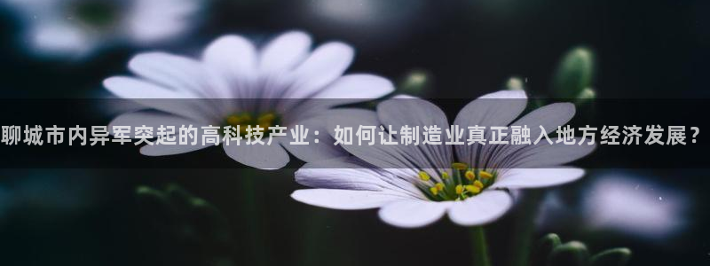 星欧娱乐是诈骗吗：聊城市内异军突起的高科技产业：如何让制造业