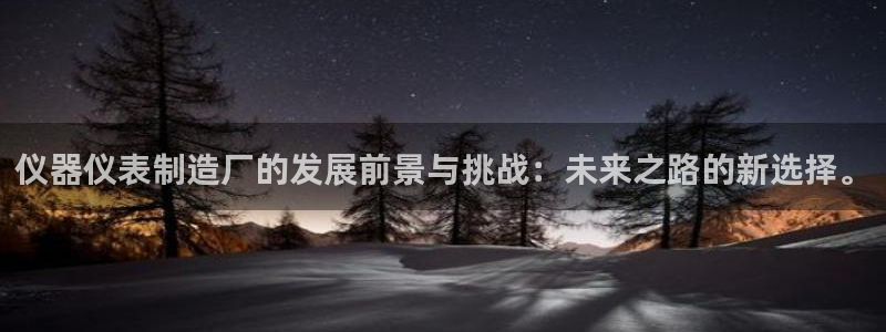 欧乐星城好玩的娱乐场所：仪器仪表制造厂的发展前景与挑战：未来