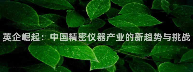 欧星娱乐彩票去：英企崛起：中国精密仪器产业的新趋势与挑战
