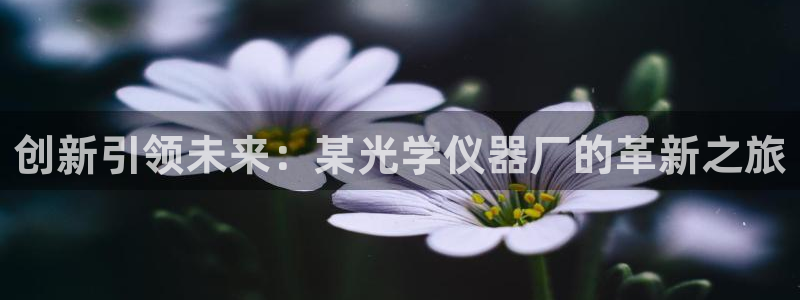 星辉娱乐进入欧联杯了吗：创新引领未来：某光学仪器厂的革新之旅