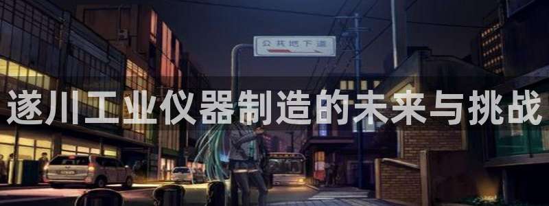 星欧娱乐招商81338：遂川工业仪器制造的未来与挑战