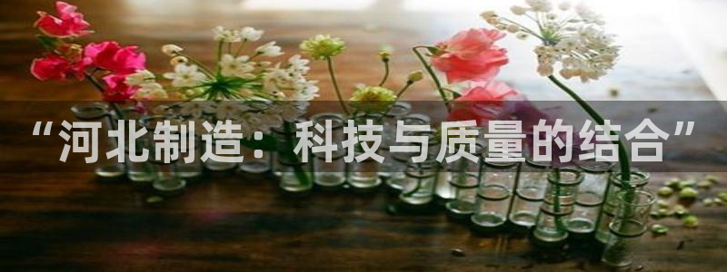 星欧娱乐官网在线登录：“河北制造：科技与质量的结合”
