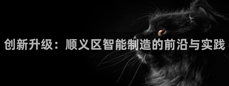 欧米星创文化娱乐：创新升级：顺义区智能制造的前沿与实践