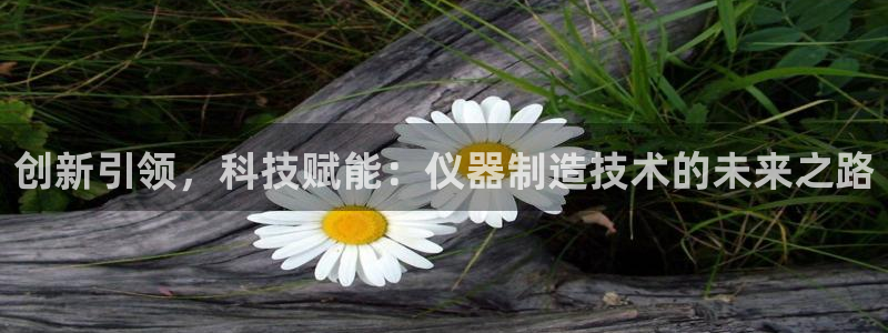 星欧娱乐银行卡怎么登录：创新引领，科技赋能：仪器制造技术的未