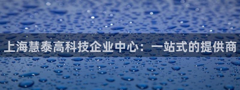 星欧娱乐官方网页版入口：上海慧泰高科技企业中心：一站式的提供