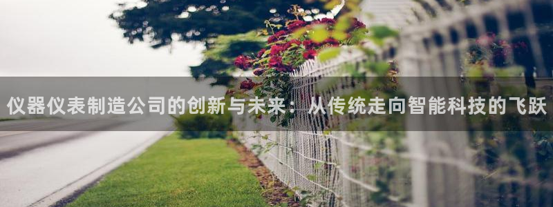 星欧娱乐扣款怎么回事：仪器仪表制造公司的创新与未来：从传统走