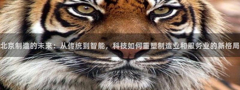 星欧娱乐登录：北京制造的未来：从传统到智能，科技如何重塑制造
