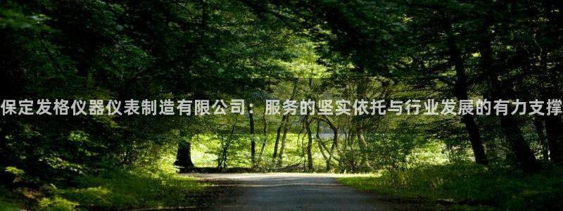 欧星娱乐主播：保定发格仪器仪表制造有限公司：服务的坚实依托与