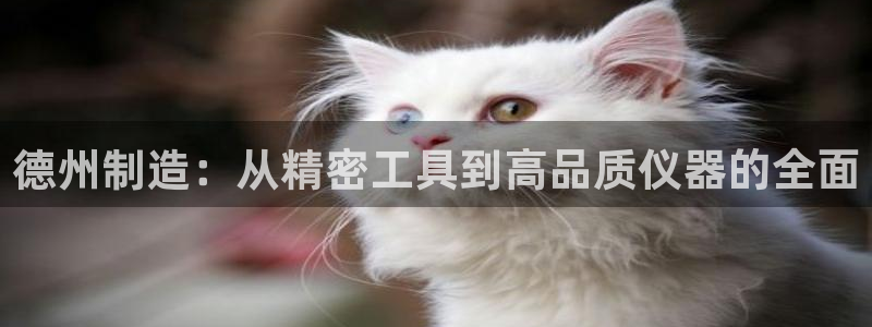 星欧娱乐人工客服电话：德州制造：从精密工具到高品质仪器的全面