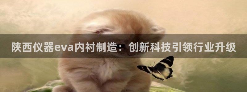 星欧娱乐扣款流程详解：陕西仪器eva内衬制造：创新科技引领行