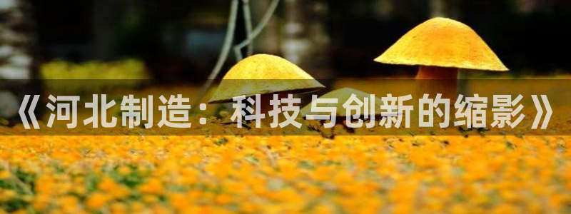 欧乐星城团购娱乐怎么样：《河北制造：科技与创新的缩影》