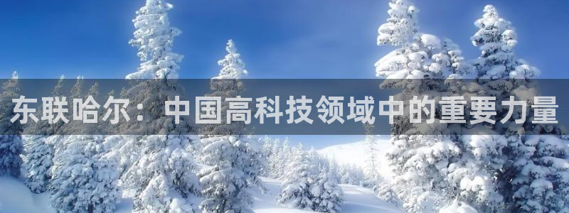 星欧娱乐注册登录入口：东联哈尔：中国高科技领域中的重要力量