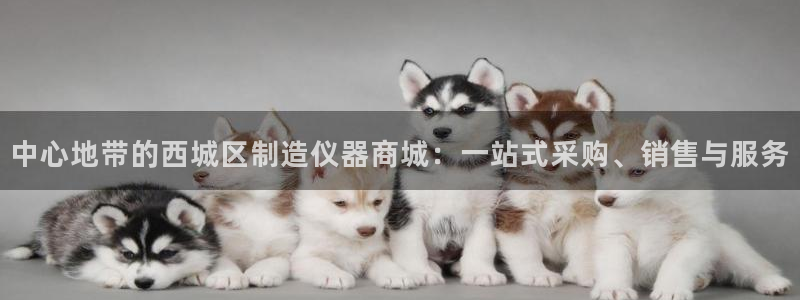 星欧娱乐app下载安装：中心地带的西城区制造仪器商城：一站式