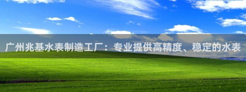 星欧娱乐平台app下载：广州兆基水表制造工厂：专业提供高精度