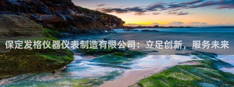星欧娱乐官网在线登录：保定发格仪器仪表制造有限公司：立足创新