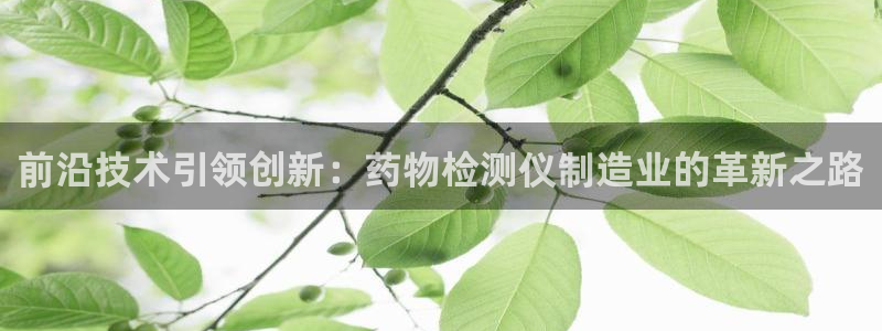 星欧娱乐负责人：前沿技术引领创新：药物检测仪制造业的革新之路