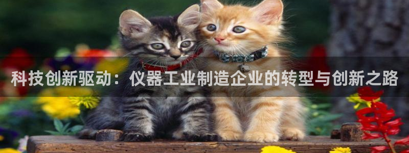 星欧娱乐负责人：科技创新驱动：仪器工业制造企业的转型与创新之