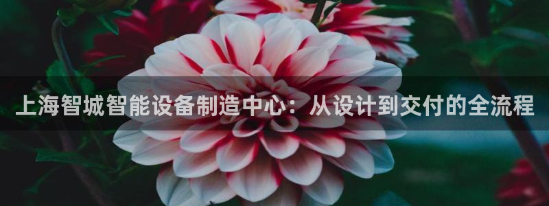星欧娱乐老版本下载：上海智城智能设备制造中心：从设计到交付的