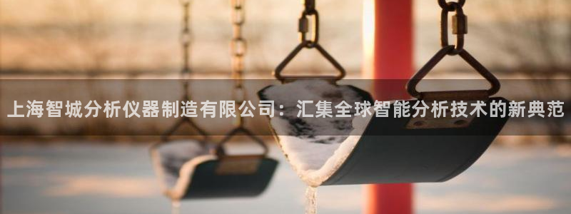 星欧娱乐还能玩吗：上海智城分析仪器制造有限公司：汇集全球智能