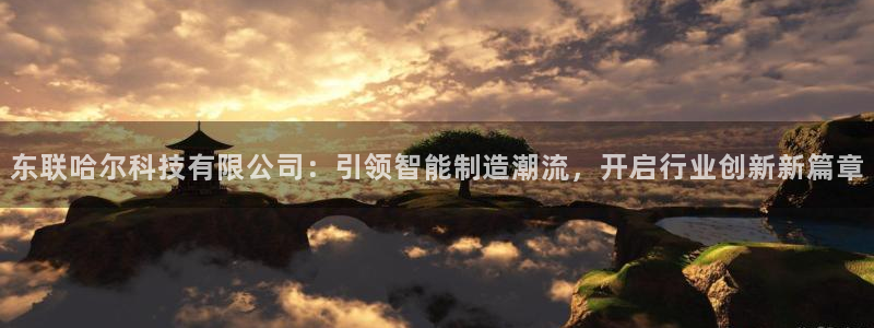 欧星娱乐平台是黑的吗：东联哈尔科技有限公司：引领智能制造潮流